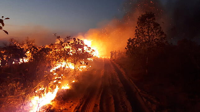 Flammen und dichte Rauchschwaden schlagen aus dem Wald im Naturpark Chapada dos Guimaraes. Seit Wochen wüten Tausende Feuer im ...