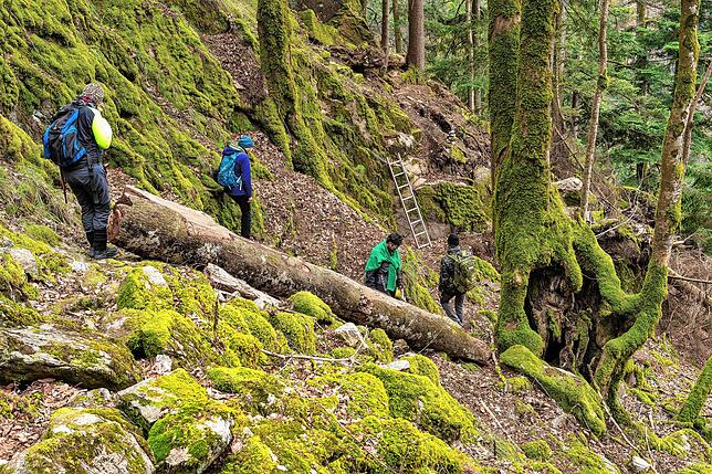 Private Suchaktion: Nach wie vor wird regelmäßig nach der seit September 2020 vermissten Wanderin Scarlett S. gesucht. Hierbei ist ...