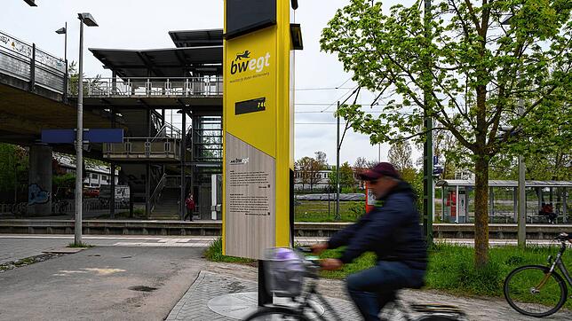 Bild : Sie sind kaum zu übersehen. In Konstanz stehen nun diese großen, gelben Säulen. Wozu dienen sie?