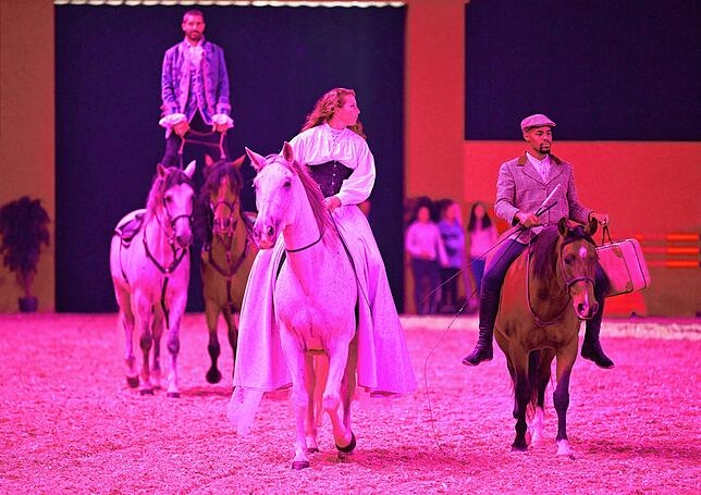Die Gala &bdquo;Im Takt der Pferde&ldquo; am Freitag- und Samstagabend gehört zu den Höhepunkten der Messe &bdquo;Pferd Bodensee&ldquo; ...