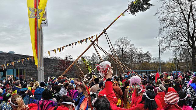 Bild : Der Narrenbaum in Kluftern steht