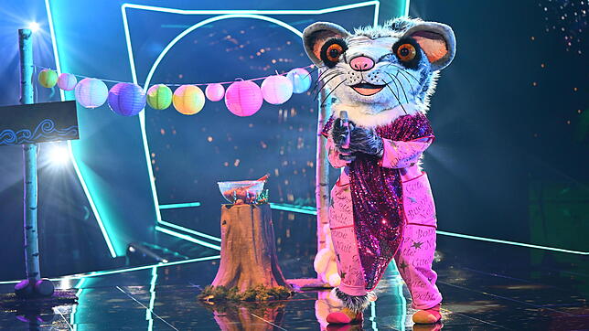 Der Siebenschläfer stand in der 7. Staffel von "The Masked Singer 2022" im Finale.