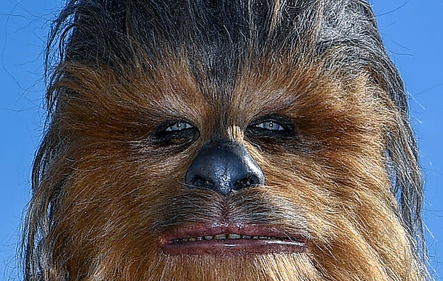 So kannten und liebten seine Fans Peter Mayhew &ndash; als &bdquo;Star Wars&ldquo;-Charakter Chewbacca. In diesem Kostüm steckt jedoch ...