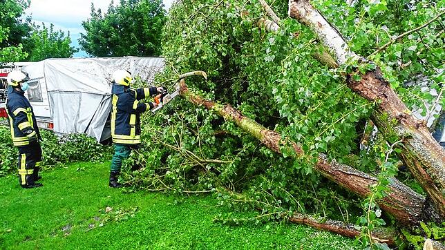 Ein Baum hat auf dem Campingplatz Sandseele einen Wohnwagen samt Vorzelt unter sich begraben und musste zersägt werden.