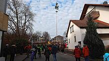 Bild : Seenarrentreffen in Dettingen: Auf dem Dorfplatz steht jetzt der Narrenbaum