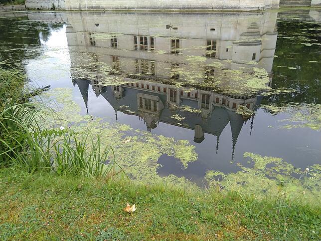 Wer das Schloss von Azay-le-Rideau an der Indre auf dem Kopf sehen will, braucht keinen Kopfstand zu machen. Das erledigt das Wasser ...