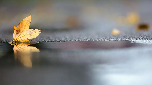 Noch hält sich die herbstliche Zweiteilung beim Wetter in Deutschland. (Archivbild)