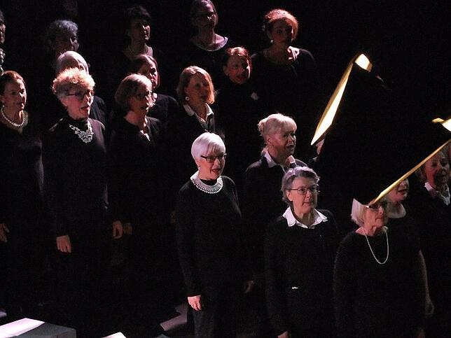 Bild 1: Bilder vom "Snoopy – the Musical" in Radolfzell