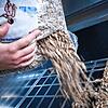 Gerade bei Pellets ist die Verunsicherung groß. Wie wichtig sind sie in Zukunft noch als Energiequelle?