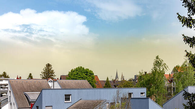 Ein gelbes Band am Himmel, darüber das klare Blau: Eine Windbö hat in Konstanz und Umgebung so viel Blütenstaub aufgewirbelt, dass sich ...