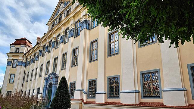 Nach Jugendstrafrecht wurde ein 20-jähriger Schüler aus Friedrichshafen vom Jugendgericht in Tettnang verurteilt. Er hatte einen Freund ...
