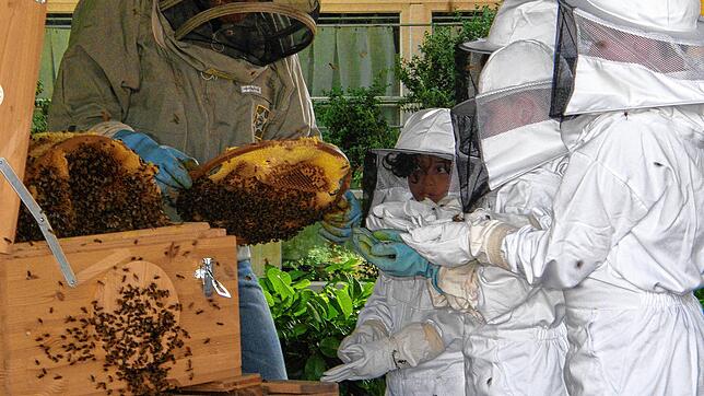Frank Winterhalter vom Bienenhof auf der Reichenau erklärt den Kindern einiges über die Insekten, bevor sie am Bienenstock selbst Bienen ...