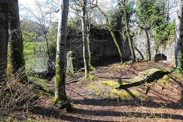 Etwas versteckt wird sie oft übersehen: Die Burgruine Weißwasserstelz auf der Anhöhe beim Weiler Guggenmühle. Hier ist viel Platz für ...