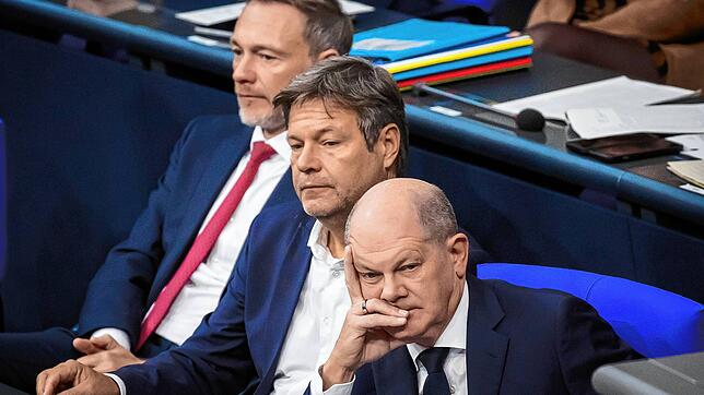 Bild : Nach Haushaltsurteil – wackeln nun Strom- und Gaspreisbremse?