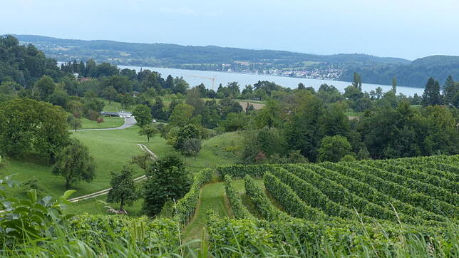 Der reizvolle Wanderweg nach Sipplingen bietet immer wieder schöne Ausblicke auf den Überlinger See – und andere reizvolle An- und ...