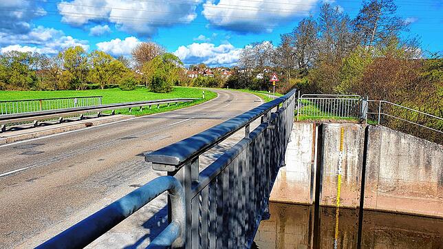 Hier, über das alte Brigachwehr hinweg, soll die zusätzliche Radlerbrücke entstehen. Bild: Norbert Trippl