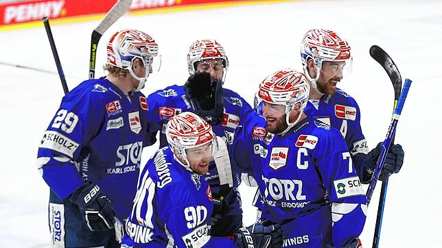 Jubel bei den Wild Wings: Soeben hat Tylor Spink (vorne, Nummer 90) den Treffer zum 2:0 erzielt.