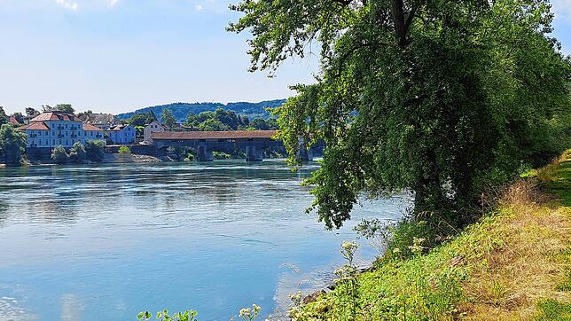 Im Rheinwasser stecken ungeahnte Menge an Wärmeenergie. Die, so sind sich Experten sicher, lassen sich auch im Winter zur ...