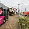 Die Busse des Schienenersatzverkehrs (hier ein Bild aus Erzingen) sollen bereitstehen, wenn ab 26. April 2026 die Hochrheinbahn stillsteht.