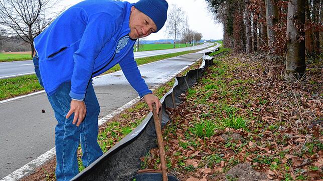 Und wieder keine einzige Kröte im Eimer, bedauert Fulco Rid. Er hilft mit, an der Kreisstraße zwischen Grünwangen und Autenweiler ...