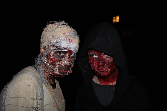 Bild 6: Spuk in Litzelstetten