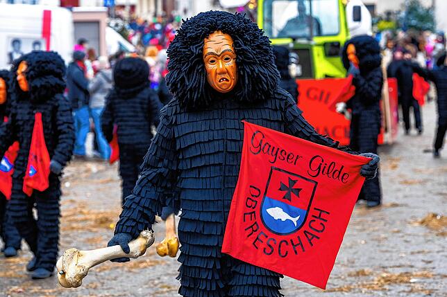 Bild 13: Sonntags-Umzug beim Narrentreffen in Dauchingen, Teil 1