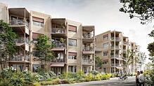 Das Projekt sieht moderne Holzbauten vor, die in drei Baukörpern entlang der Straße angeordnet werden sollen.
