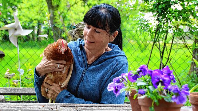 Vor knapp einem Jahr hat Elisabeth Vogel aus Wald sieben Hühner vom Verein &bdquo;Rettet das Huhn&ldquo; übernommen und schenkt ihnen ...