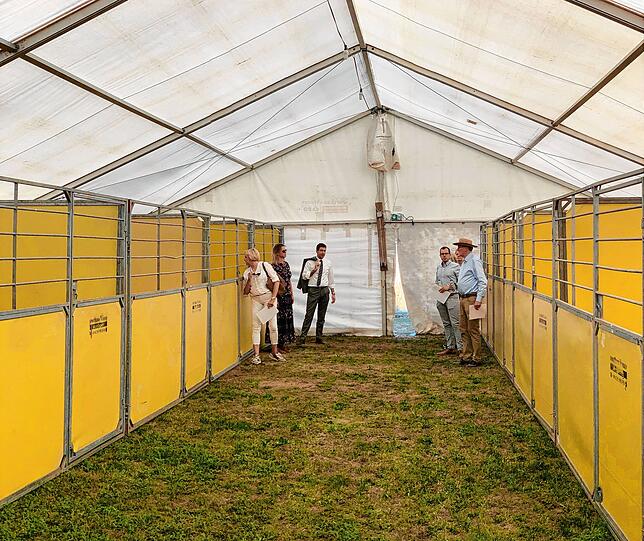 Blick in die Stallzelte, wo von Donnerstag bis Sonntag rund 100 Pferde einziehen werden.