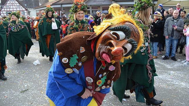 Bild : Eigeltinger Narrentage: Der Sonntagsumzug in Bildern (3)