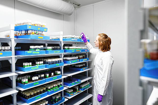 Fruchtfliegen gehören zu den Versuchstieren am Max-Planck-Institut für Immunbiologie und Epigenetik gehören die Fruchtfliegen. Die ...
