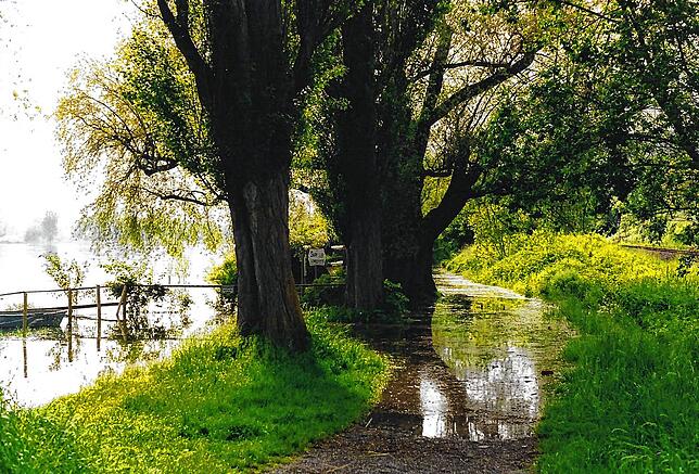 Ein überschwemmter Weg in Bodman-Ludwigshafen.