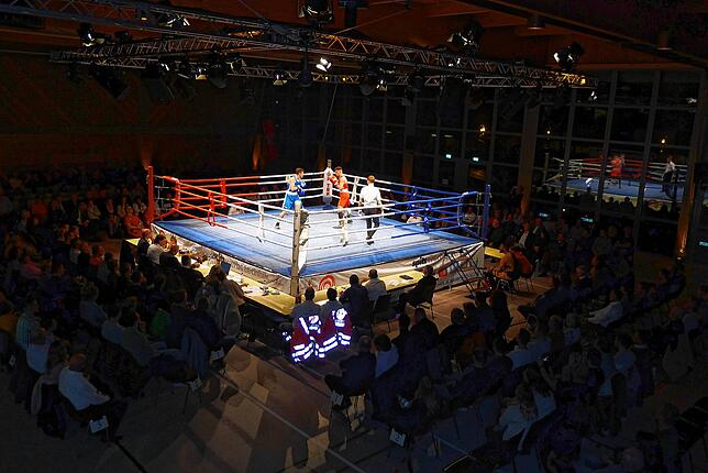 Bild 3: Bilder vom Boxspektakel im Deggenhausertal