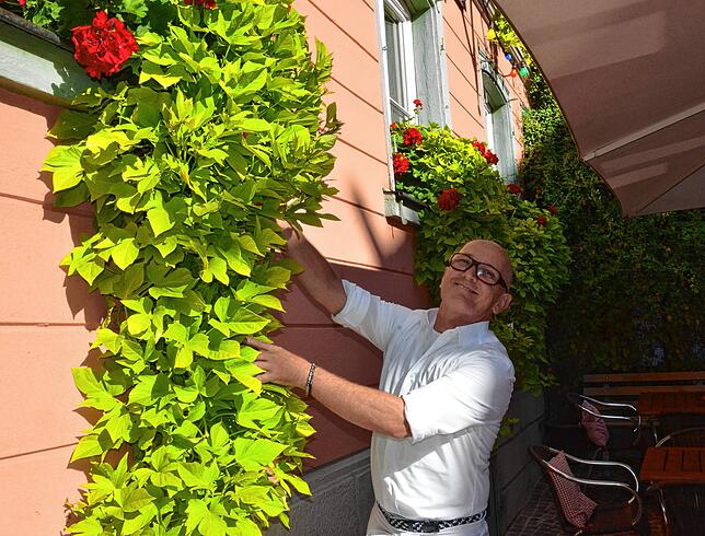 Liebt seine Pflanzen an der Lichtblick-Fassade: Markus Wiggenhauser, der das Restaurant in der Marktstraße seit 2001 führt.