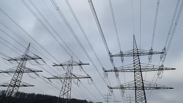 Schon jetzt verlaufen über dem Wohngebiet Kreuzmatt, dem Hemmet und den Dinkelberg zahlreiche Stromleitungen. Der Strommast ganz rechts ...