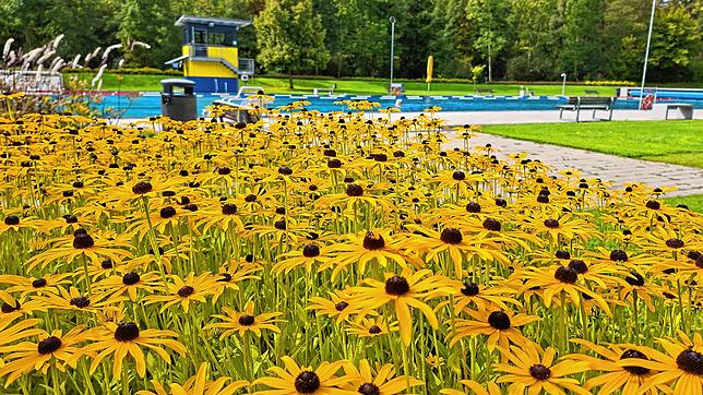 Herbst-Flair im Villinger Kneippbad: Die Herbstblumen blühen, das Schwimmerbecken ist leer. Ab dieser Woche machen die BVS-Mitarbeiter ...