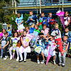 Bild :