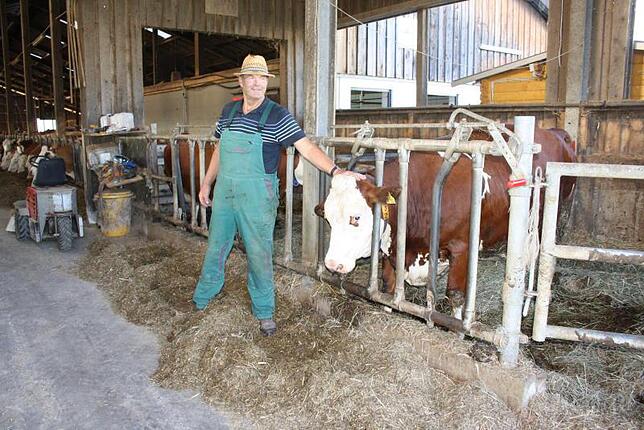 Wenn die Kühe glücklich sind, freut sich auch Alt-Bauer Theo Ziegler. Auf dem Ziegler-Hof werden rund 300 Tiere gehalten.