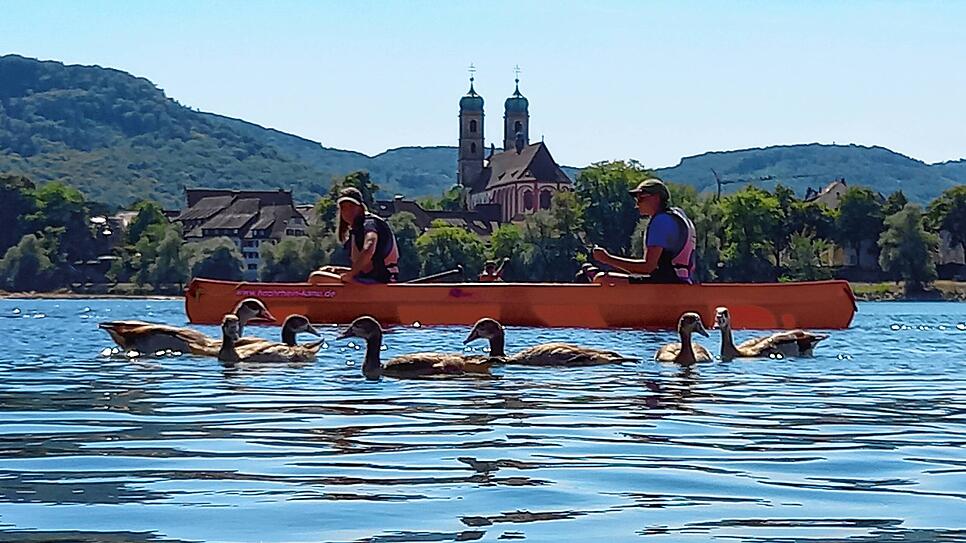 Bild : Mit dem Kanu auf dem Rhein: Sehen Sie selbst, wo der Klimawandel spürbar ist