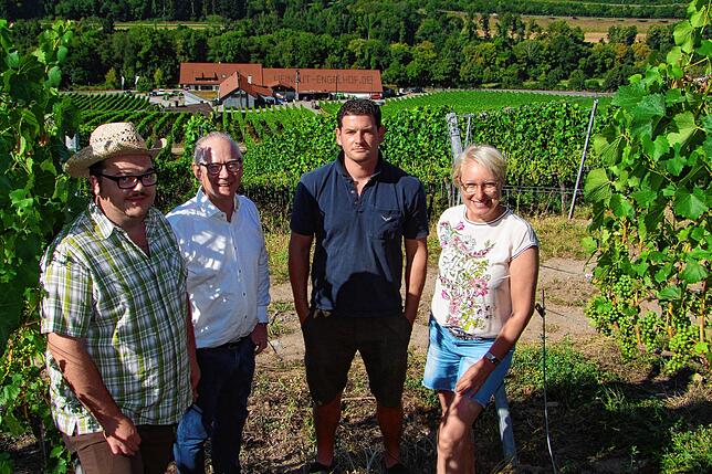 Die Reben des Engelhof sind in die Höhe gewachsen. Heute leiten Kellermeister Alexander Schira, Georg Netzhammer, Winzermeister Adrian ...
