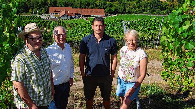 Die Reben des Engelhof sind in die Höhe gewachsen. Heute leiten Kellermeister Alexander Schira, Georg Netzhammer, Winzermeister Adrian ...