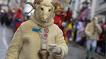 Ein dickes Fell war bei den Temperaturen an der Pfullendorfer Fastnacht vergangenes Jahr nicht nötig.