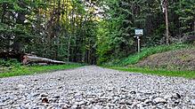 Los geht es auf den etwa sieben Kilometer langen Wanderweg über den Eichberg!