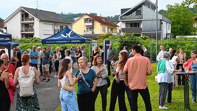 Lange vor Konzertbeginn sind schon die meisten Besucher da, trinken und essen gemeinsam. Am Seeufer herrscht so richtige Festatmosphäre.