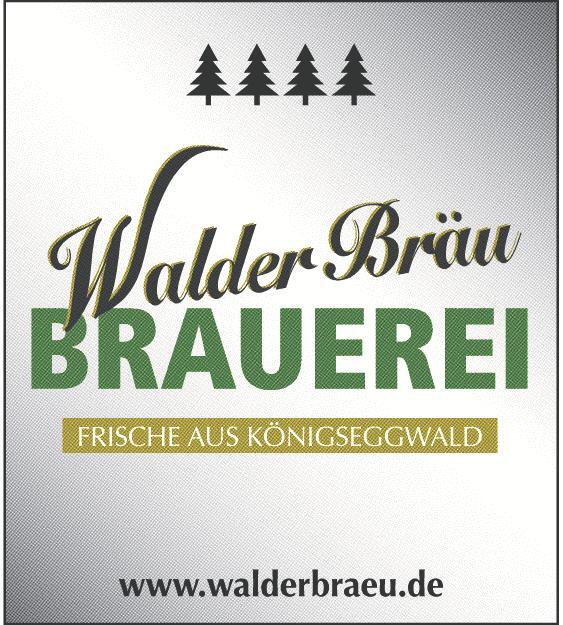 Bild 9: NV Wasserspucker Illmensee: Nächtliches Narrenspektakel