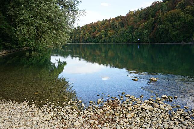 Ruhige Natur: Der Hochrhein bei Hohentengen-Herdern. Bild: Sira Huwiler