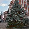 Die Christmette unter dem Weihnachtsbaum auf dem Schlossplatz zu feiern, ist nur eine Idee für weihnachtliche Gottesdienste in ...