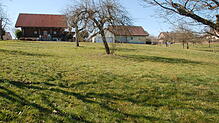 Auf dieser Wiese in Adelhausen soll der Naturkindergarten mit zwei Bauwagen errichtet werden. Foto: Petra Wunderle