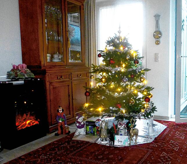 Dieser Weihnachtsbaum steht bei Brigitte und Bruno Geiger in Rheinheim.