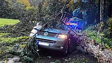 Wenn ein Baum auf die Straße stürzt und Menschen in Mitleidenschaft gezogen werden, wie jüngst in der Gemeinde Dachsberg (Foto), wird ...